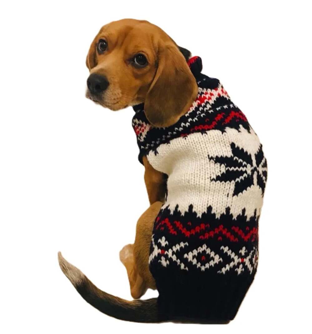 Handmade Wool Dog Sweater from Chilly Dog Size Medium